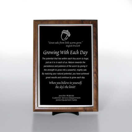 Character Award Plaque - Half-Size - Black w/ Silver